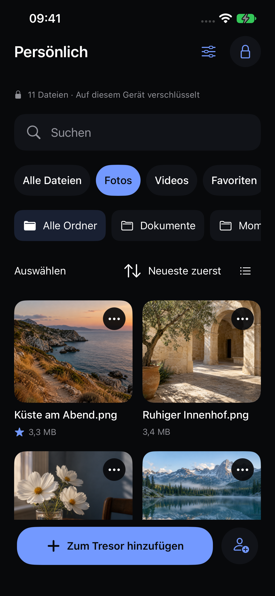 Die native Fotobibliothek von Veil mit Beispiel-Reisefotos.